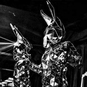 Disco-Mirror-Bunnies