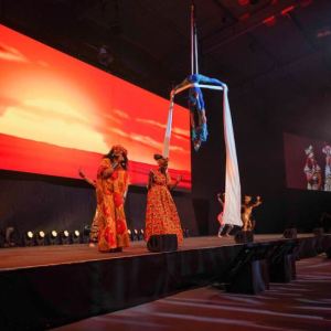 Aerial-Artists-Silks-3
